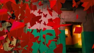 VIDEO: 2k red butterflies adorn ruins of bombed Minab school