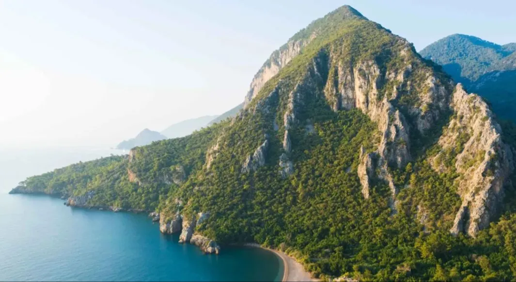 turkey
