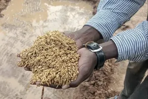 Inside the ‘America First’ makeover of a global hunger program