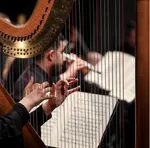 The Tehran Symphony Orchestra performed a concert titled &ldquo;From Beyond the Borders&rdquo; at Vahdat Hall on May 21, 2026. The performance was conducted by Omid Mehrabi.