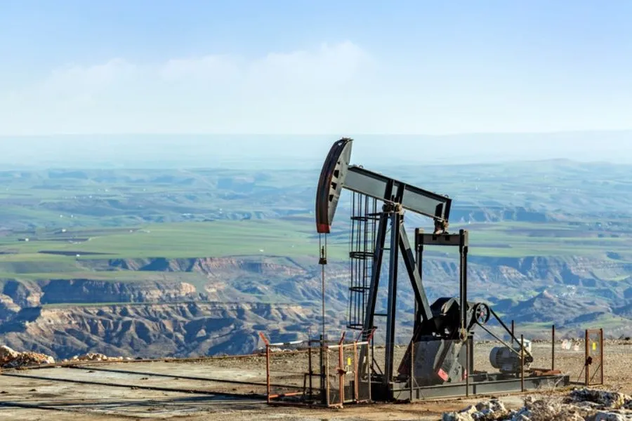 Oil 