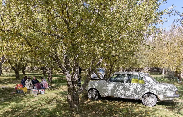 &lsquo;Apple festival&rsquo; showcases Maragheh's flourishing tourism, economy