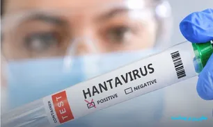 No evidence of Hantavirus in Iran: health ministry