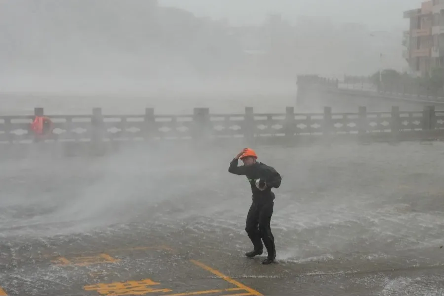 Typhoon Dolphin