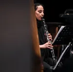 The Tehran Symphony Orchestra performed a concert titled &ldquo;From Beyond the Borders&rdquo; at Vahdat Hall on May 21, 2026. The performance was conducted by Omid Mehrabi.