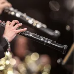 The Tehran Symphony Orchestra performed a concert titled &ldquo;From Beyond the Borders&rdquo; at Vahdat Hall on May 21, 2026. The performance was conducted by Omid Mehrabi.