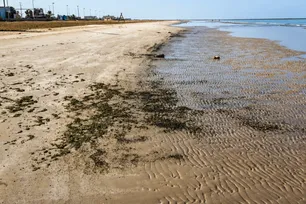 Ballast water from damaged tanker responsible for oil spill in Kharg: DOE