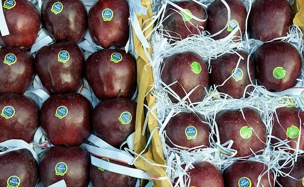 &lsquo;Apple festival&rsquo; showcases Maragheh's flourishing tourism, economy