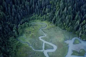 Who Gets to Decide the Fate of a Pristine Alaskan Rainforest?