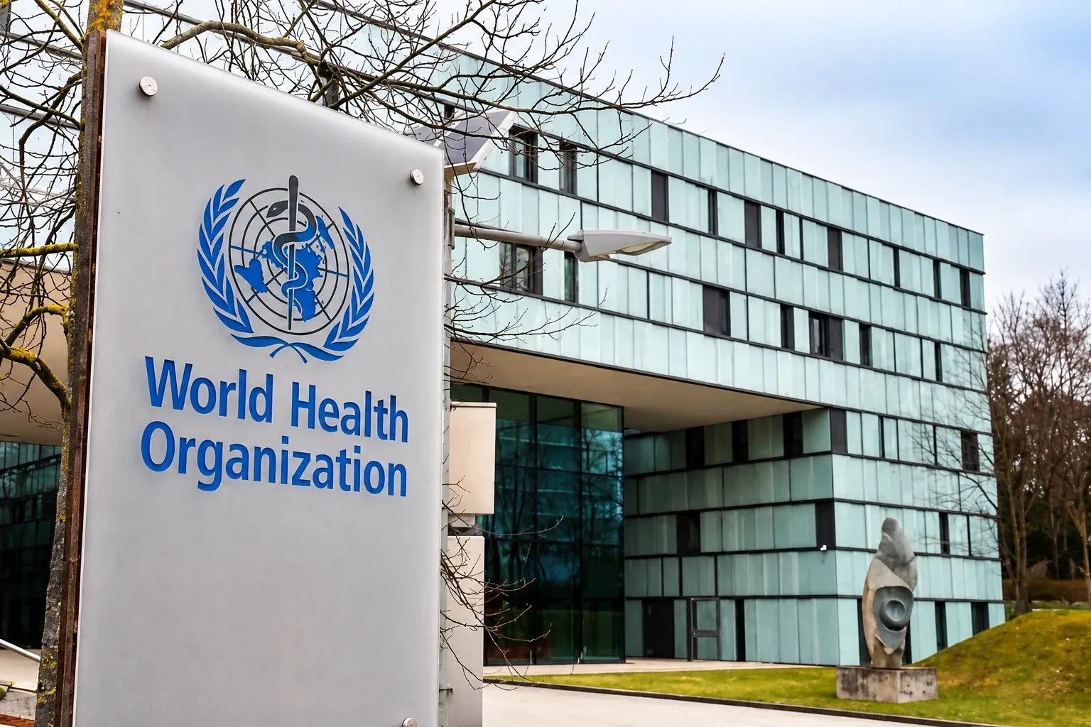 WHO launches $2m emergency project in Iran
