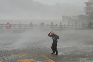 Typhoon Dolphin lands in Zhejiang on China's eastern coast