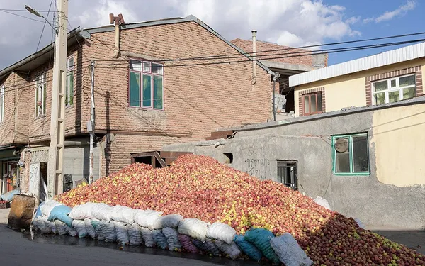 &lsquo;Apple festival&rsquo; showcases Maragheh's flourishing tourism, economy