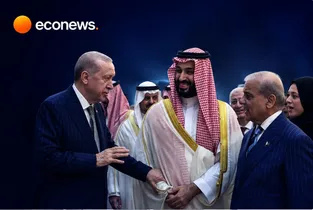Summit of Turkish, Pakistani, and Saudi Officials in Istanbul