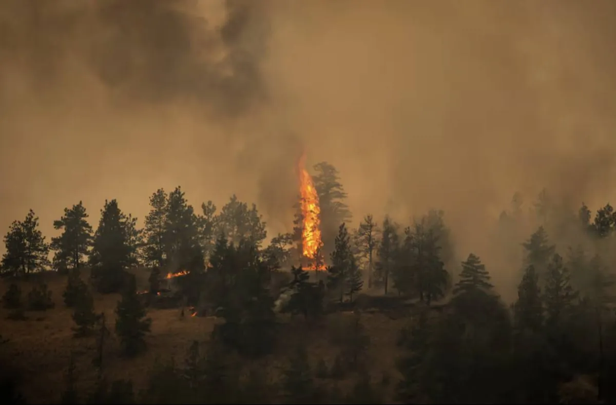 wildfire 