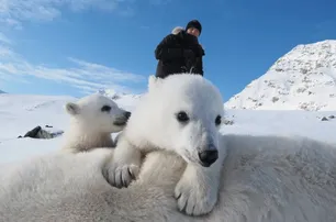 VIDEO: Interest in cruises to North Pole grows