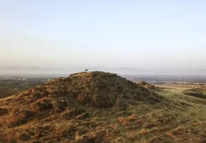 ‘Wastelands’ No More: India Charts a Future for Its Grasslands