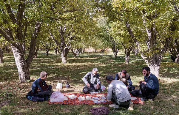 &lsquo;Apple festival&rsquo; showcases Maragheh's flourishing tourism, economy