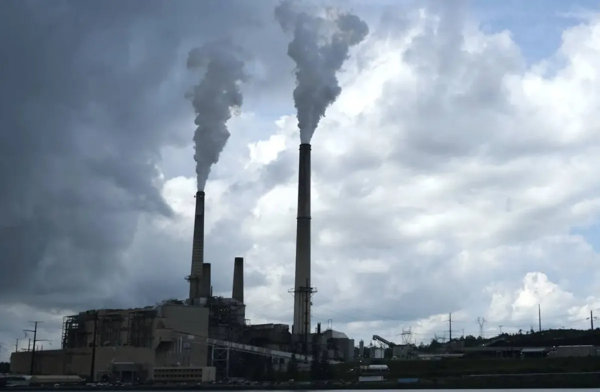 coal