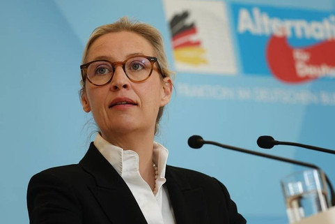 AfD to withdraw Germany from eurozone, Schengen Agreement if comes to power