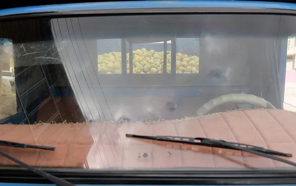 &lsquo;Apple festival&rsquo; showcases Maragheh's flourishing tourism, economy